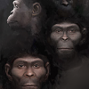 evolution avatar