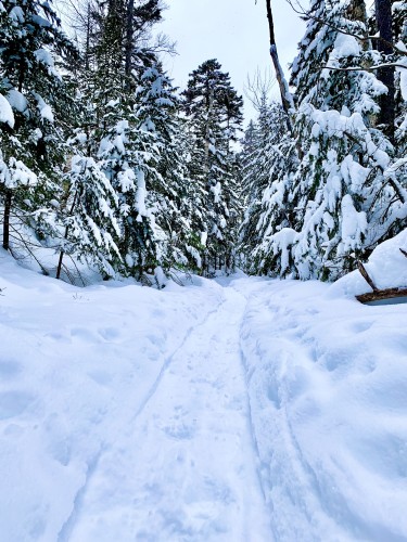 Photo of snowy trail leading into forest of snow-covered green trees. Trail leads away from camera into forest. 

Hancock Notch Trail, White Mountains, New Hampshire. February, 2021.