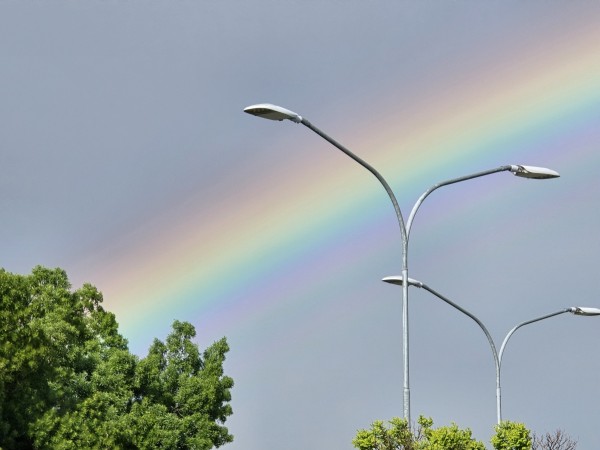 Under the expanse of a muted sky, a vivid rainbow arches triumphantly between the silhouettes of stoic street lamps, as nature's ephemeral luminescence challenges the constant glow of mankind's creation.