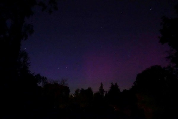 Picture of a starry nighty with violet hues on the right half.