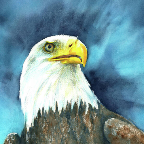 The painting shows the head of a bald eagle sitting and looking to the right. While the background and the plumage of the bird of prey are depicted in an abstract way with loose expressive brushstrokes, the head is painted in a more detailed and realistic way. The white feathers of the head and the strong yellow-orange beak stand out clearly against the background in various shades of blue from turquoise to indigo and the dark brown feathers of the body and are emphasised by this colour contrast and light-dark contrast.