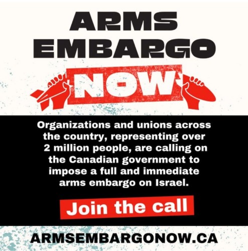 ARMS
EMBARGO
NOW
Organizations and unions across
the country, representing over
2 million people, are calling on
the Canadian government to
impose a full and immediate
arms embargo on Israel.
Join the call
ARMSEMBARGONOW.CA