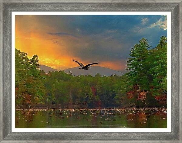 A Great Blue Heron soaring above a tranquil lake surrounded by lush trees with vibrant autumn foliage. The sky above is dramatic, displaying a breathtaking interplay of sunset colors.