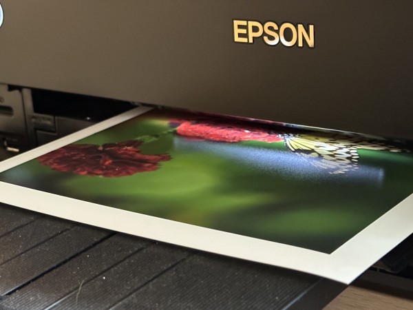 Ein Fotodruck entsteht. Ein teilweises bedrucktes Papier schaut aus dem Drucker heraus. 