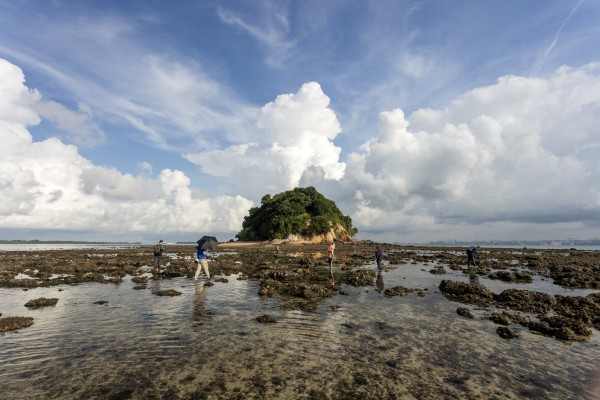 A small bun-shaped island is in the centre, surrounded by an intertidal flat of coral rubble, on which a few humans are walking. The sky above is being extra  