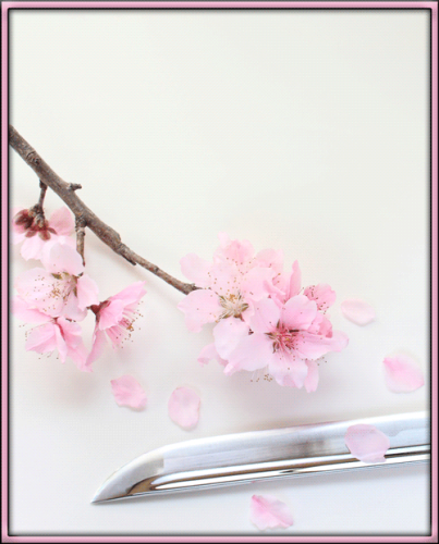 Cover art of a branch of cherry blossom and the pointy end of a katana face upwards upon what looks like sumi-e paper in a pink lacquer frame. There's room for titling, but there are no titles at the top of the page.