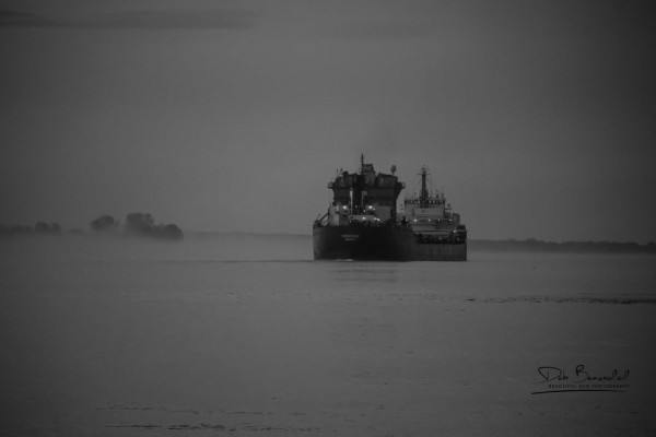 Black and white image of the Great Lakes bulk carrier, Frontenac, moving through a foggy river under a soft, diffused light. Image at:  https://beautifulsunphotography.com/featured/silent-passage-in-the-mist-deb-beausoleil.html See more art & blog at: https://beautifulsunphotography.com/ https://debbeautifulsunphotography.com/ https://www.zazzle.com/store/beautifulsun_designs https://debbeausoleil.com