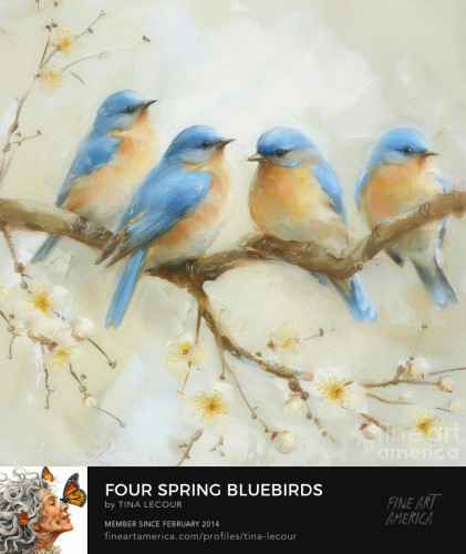 This is a painterly image of four Eastern Bluebirds perched on a branch with tiny spring white blossom flowers and a white background. 