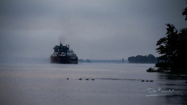 Photo of a large lake freighter emerging from the fog on the St. Mary's River in Sault Ste. Marie, Michigan, with ducks swimming in the foreground. Image at:  https://beautifulsunphotography.com/featured/lake-freighter-in-the-misty-morning-deb-beausoleil.html See more art & blog at: https://beautifulsunphotography.com/ https://debbeautifulsunphotography.com/ https://www.zazzle.com/store/beautifulsun_designs https://debbeausoleil.com