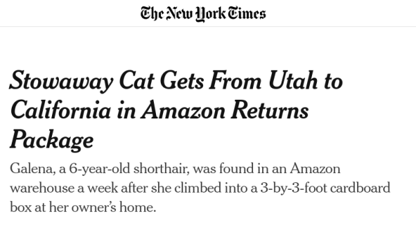 Stowaway Cat Gets From Utah to California in Amazon Returns Package