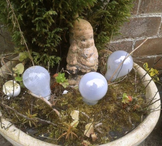Finally - the first signs of spring as the bulbs start to pop through 😄