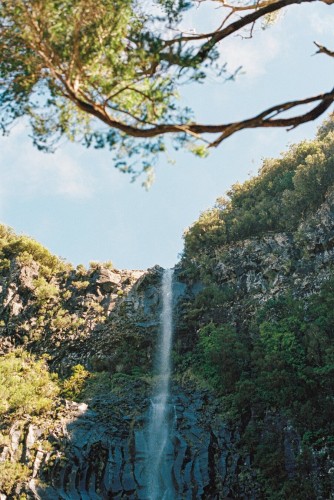 Photo of waterfall, overgrown cliffs with trees and shrubs, clear sky, branches visible at the top of the photo