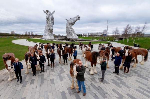 26 heavy horses with their handlers gathered in front of The Kelpies, a large metal sculpture of two clydesdale horse heads located beside a canal.

Photo by Peter Sandground