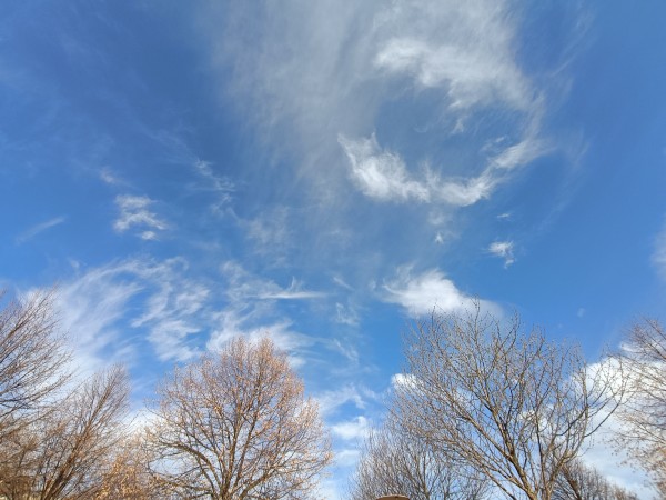 En bas de l'image, le sommet d'arbres qui n'ont pas encore leurs feuilles.
En haut, un ciel bleu avec des nuages blancs, dont l'un ressemble à une mâchoire ouverte.