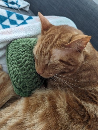ginger cat resting his head on a crocheted pillow