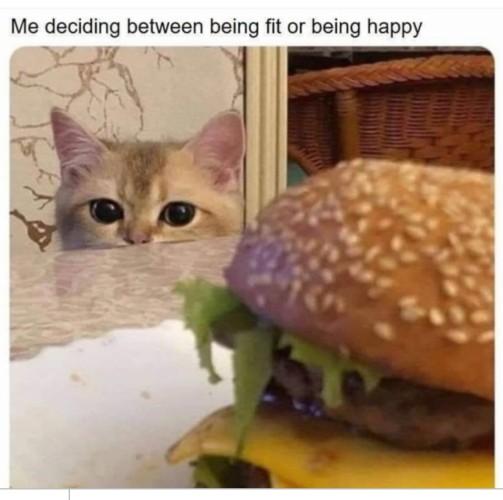 A cat is staring at a delicious looking burger. The caption reads: Me deciding between being fit and being happy.