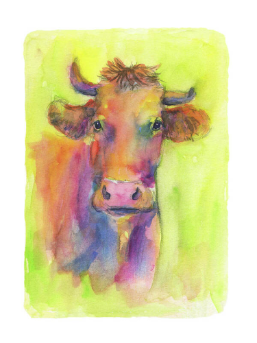 Colorful cow is a watercolor painting in portrait format painted by the artist Karen Kaspar. It shows the head and part of the body of a cow. The cow has its head with horns turned towards the viewer and is looking at him in an interested and friendly way with its dark eyes. The animal's naturally brown coat reflects the colours of the light and contains colourful shades of yellow, pink, purple and blue. The background is painted in shades of light green like a lush green pasture.