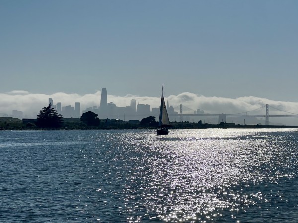 Downtown San Francisco and the Bay Bridge, viewed from the SF Bay Ferry. A sailboat is in the foreground and the city is cloaked in fog. 