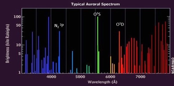 Different auroral colors come from different heights in the atmosphere primarily because the life-time of an excited atom or molecule (time spent in its excited state) is vastly different for different colors of the aurora. The green aurora from oxygen in the 1S state typically occurs from 120 to 400 km (80 to 250 miles) above the surface of Earth. The red aurora from oxygen in the 1D state is restricted to altitudes above 300 km (180 km).   This is because oxygen in the 1D state has a very long lifetime (>150 sec) and can only survive in the thinner atmosphere above 300 km.  At lower altitudes the oxygen in the 1D state collides with other atmospheric atoms or molecules before it can emit a photon which deactivates or quenches the excited oxygen. The 1S state of oxygen has a lifetime of about 1 second and therefore emits a photon more quickly and thus can emit at lower altitudes where the density is higher. The aurora sometimes has a purplish lower border which comes from emissions from molecular nitrogen. This "prompt" emission is emitted from excited states of nitrogen that have almost no delay between excitation and emission.  It survives at even lower altitudes between 120 and 200 km (80 to 120 miles).  