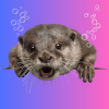 otters@lemmy.world avatar