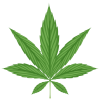 medicalcannabis avatar