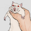 szczur avatar