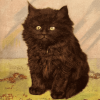 @CatsOfYore@varmint.town avatar