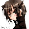 @Kotking@misskey.io avatar