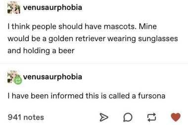 screenshot of a tumblr post by tumblr user venusaurphobia:

I think people should have mascots. Mine would be a golden retriever wearing sunglasses and holding a beer

op's reply to own post:
I have been informed this is called a fursona

941 notes