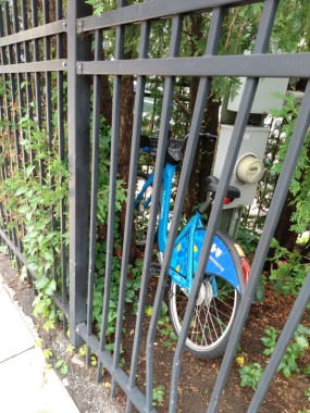 A BlueBike hidden behind a fence in a local park