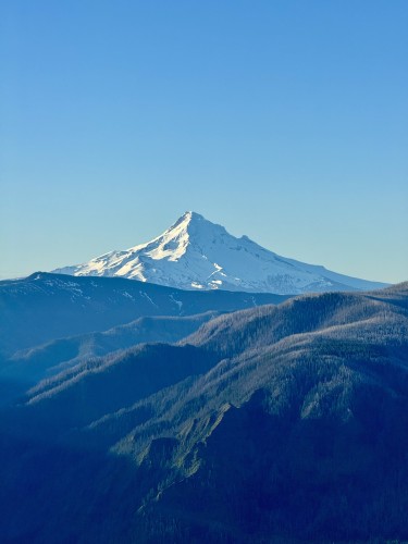 A beautiful snow-covered Mount Hood rises above the Central Cascades mountain range. The volcano has sunlight shining on the snow from the east (left) side. Blue sky on an amazing spring day. Vast green forests are seen before the peak. 