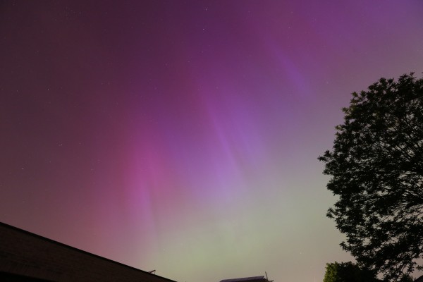 Aurora borealis with red-purple colors at the top and green at the bottom, with a tree to the right