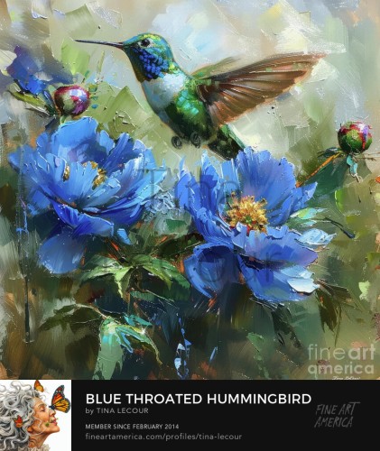 This is a painting of a Blue Throated Hummingbird hovering around some pretty blue peony flowers.