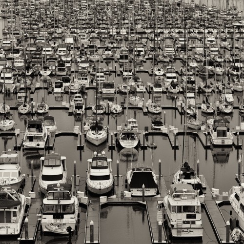 A crowded marina, packed with mostly pleasure boats, going off into the distance.