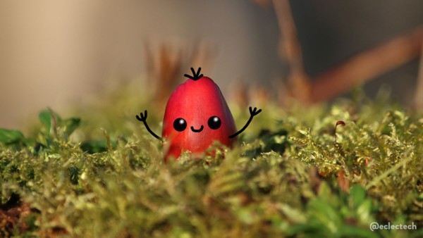 Photo of a red seed nestled in some moss. It is brightly lit by direct sunshine, and has a happy face, upturned arms and a little sprig of hair drawn on. It is quite cute.