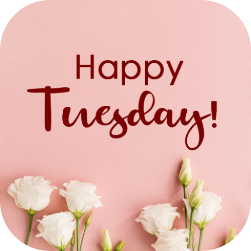 An image with a pink background that says Happy Tuesday in a maroon colored font. There are some white flowers at the bottom of the image as well.