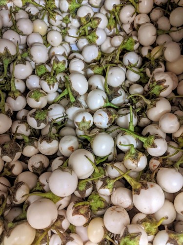 A big pile of small mostly round white eggplants