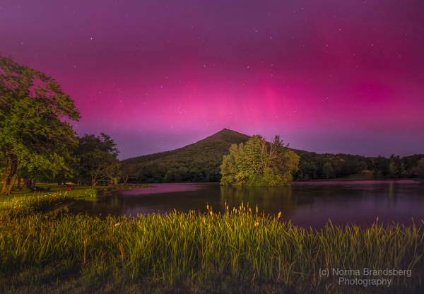 It was a  magical night Northern Lights display off the Blue Ridge Parkway at the Peaks of Otter buy here:

https://www.pictorem.com/1971913/Blue%20Ridge%20Parkway%20Peaks%20of%20Otter%201.html