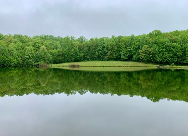 A quiet lake on a drizzly day. Vivid green forests and the grassy area below the cloudy sky are clearly reflected on the water.