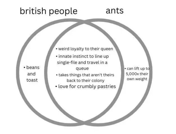A Venn diagram that connects two circles representing British People and one Ants.

Only in the British People part of the circle:

beans and toast

Only in the ants part of the circle:

can lift up to 5,000x their own weight

In the intersection of the two:

- weird loyalty to their queen
- innate instinct to line up single-file and travel in a queue
- takes things that aren't theirs back to their colony
- love for crumbly pastries

