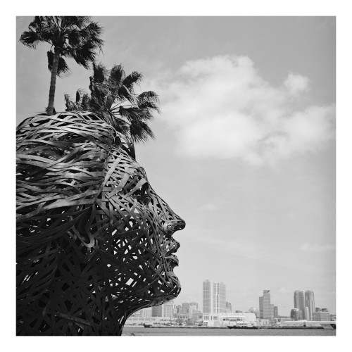 This black and white image depicts a large, sculptural head made of interwoven metal strips, creating a lattice-like appearance. The sculpture is profiled against a background featuring a city skyline with modern high-rise buildings and a few scattered clouds above. To the left of the sculpture, a group of tall palm trees sway, their leaves fluttering in the breeze, adding a dynamic, organic contrast to the metal artwork. The artwork's placement in an outdoor setting with urban architecture and natural elements like palm trees suggests a blend of art, nature, and city life. The composition skillfully balances the sculpture's detailed texture with the simplicity of the skyline and the natural forms of the trees.