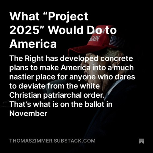 Screenshot of my latest “Democracy Americana” newsletter: “What ‘Project 2025’ Would Do to America: The Right has developed concrete plans to make America into a much nastier place for anyone who dares to deviate from the white Christian patriarchal order. That’s what is on the ballot in November”