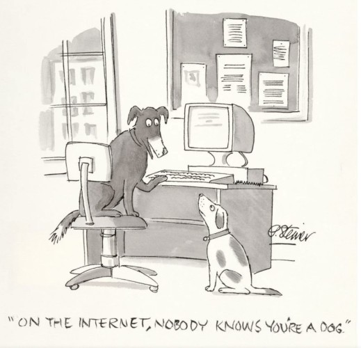A cartoon of a dog, on a computer, commenting to another dog, "On the Internet, no one knows you're a dog"