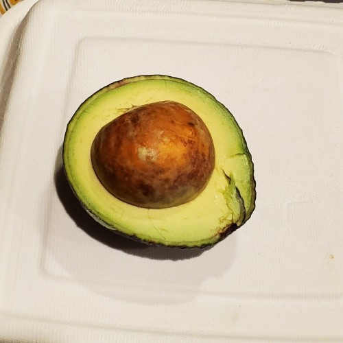 Avocado half with pit inside. Pit takes up nearly ¾ of the inside
