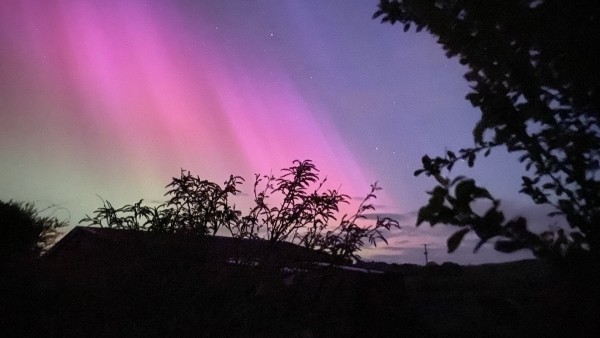 Aurora borealis with pink and green hues in the night sky above silhouettes of foliage and the outline of a building.