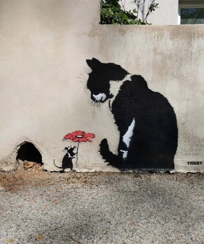 Streetartwall. A small but great mural of a mouse and a cat has been sprayed onto a beige house wall using stencils. There is a hole in the wall at the bottom left with some leaves in it. Right next to it is a small black mouse holding up a red flower. A black and white cat sits next to it and looks down at it. The two could become friends.