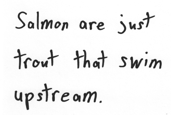 Salmon are just trout that swim upstream.