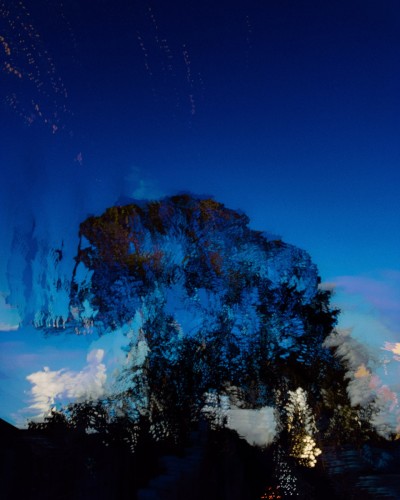 This image is an urban landscape photograph of a mature tree in leaf silhouetted against a deep blue black twilight sky using glitchy, generative in-camera long exposure to disrupt with fragments, overlays, lights and tracers