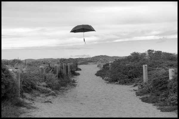 A monochrome picture of a sandy path and scrubby bushy crap growing in the restored beach habitat at Crissy Field, in San Francisco.

The path leads the eye northwards, towards a black umbrella that floats gently in the air, defying gravity, 8 feet overhead.