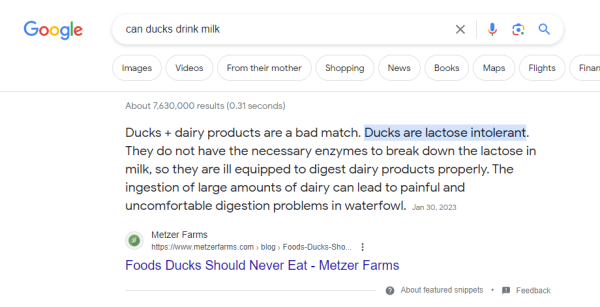 Google search for "can ducks drink milk"

"Ducks + dairy products are a bad match. Ducks are lactose intolerant. They do not have the necessary enzymes"